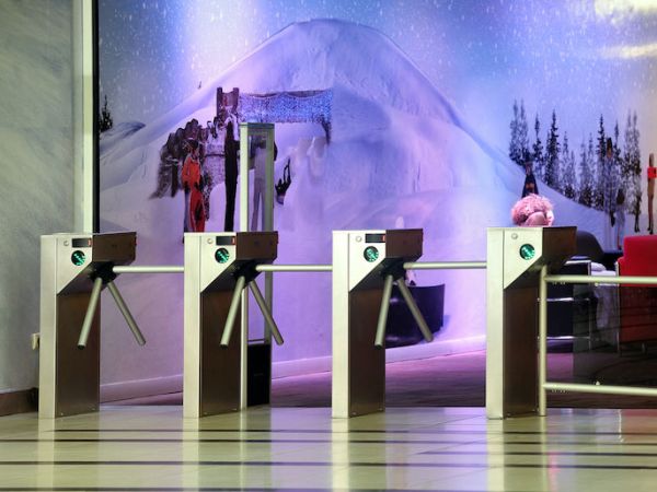 Турникет-трипод моторизованный Came Stile 500 (с планками антипаника) (PSMM500E-02)