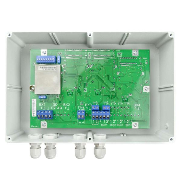 Извещатель охранный периметровый трибоэлектрический однозонный Гюрза-1К