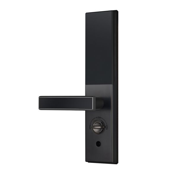 Цифровой дверной замок dormakaba IC800, черный