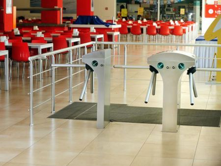 Турникет-трипод моторизованный двухпроходной Came Stile 600 (с планками) (PSMM602D-01)