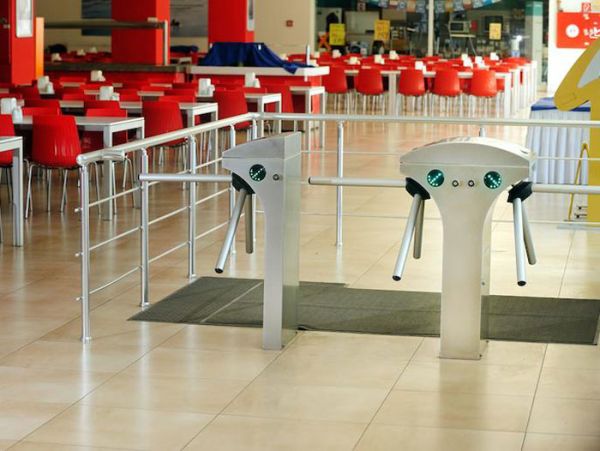 Турникет-трипод моторизованный двухпроходной Came Stile 600 (с планками) (PSMM602D-01)