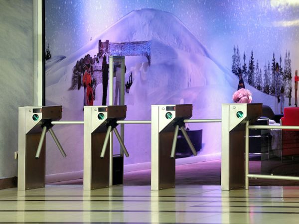 Турникет-трипод моторизованный Came Stile 500 (с планками) (PSMM500E-01)