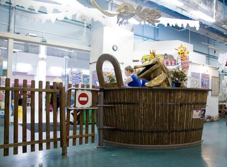 Калитка электромеханическая без привода PERCo WHD-05G (створка 900 мм)