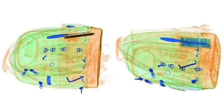 Интроскоп SDT-100100S, 3D проекционный