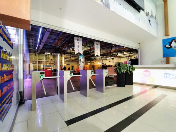 Турникет-трипод моторизованный Came Stile 500 (с планками антипаника) (PSMM500E-02)