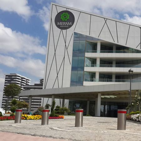 Блокиратор автоматический выдвижной Came TBD 220H600, 2 болларда