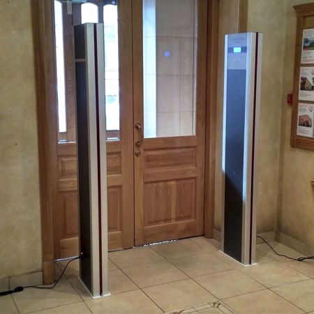 Металлодетектор стационарный Профи МОНО, многозонный