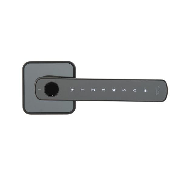 Биометрическая цифровой замок dormakaba Rose, черный