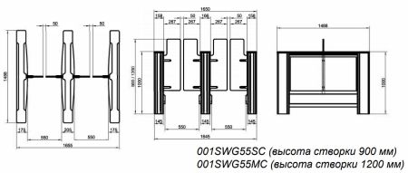 Распашной турникет двухпроходной Came Swing Gate SWG55, 550 мм, створки 1200 мм (SWG55M-DBL)