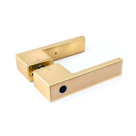 Электронный биометрический замок-ручка Gimmel F11 TTLock с отпечатком пальца