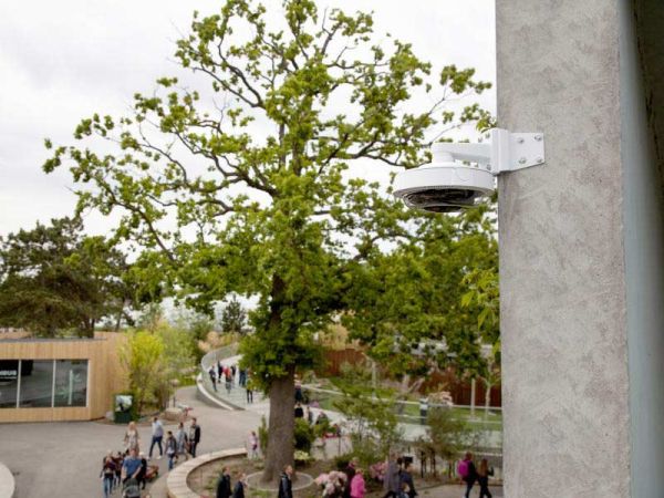 Уличная IP-видеокамера 15Мп Axis P3719-PLE с четырьмя вариофокальными объективами